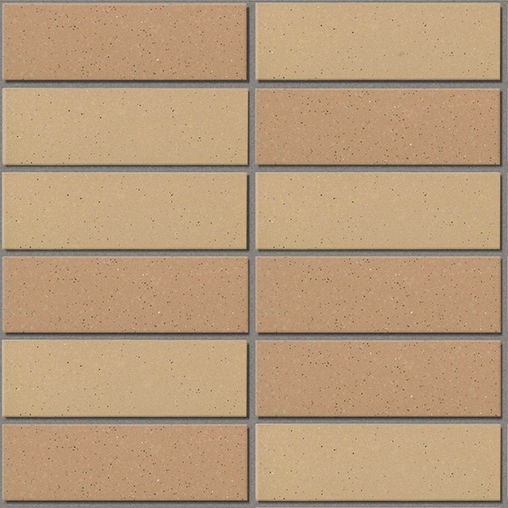 Gạch ốp tường 355/EAC-EARTH COLOR BORDER INAX-355/EAC - 14