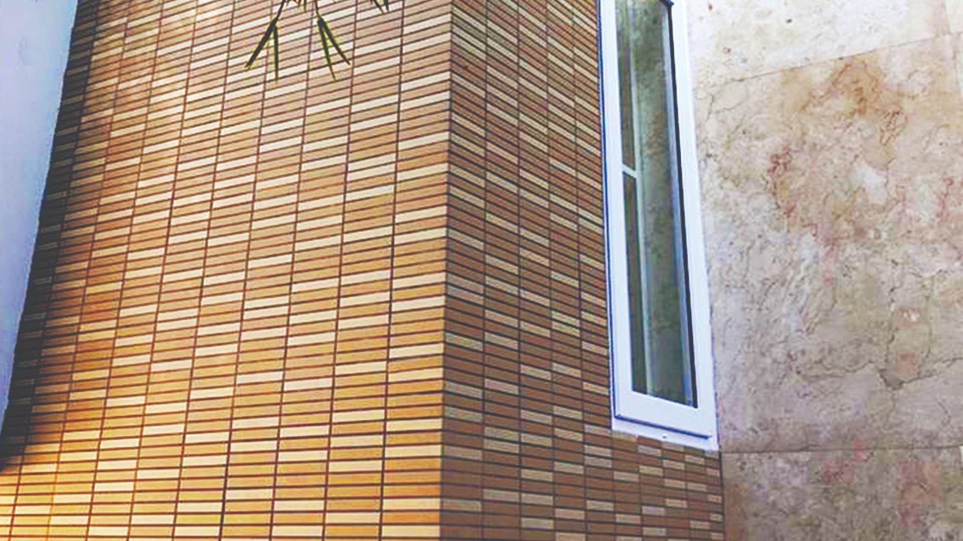 Gạch ốp tường 355/EAC-EARTH COLOR BORDER INAX-355/EAC - 7