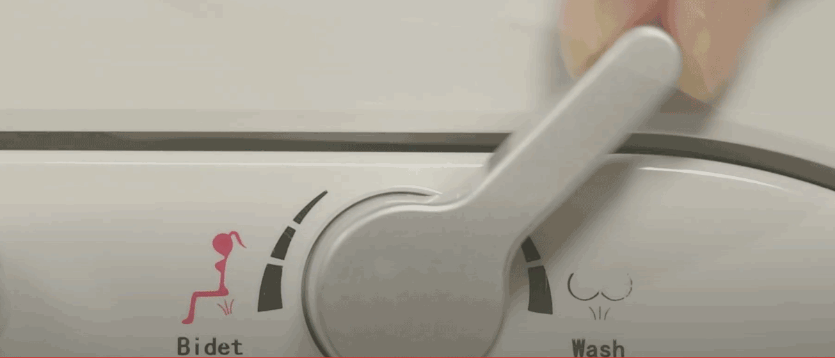 Nắp rửa cơ INAX CW-S15VN (CWS15VN)
