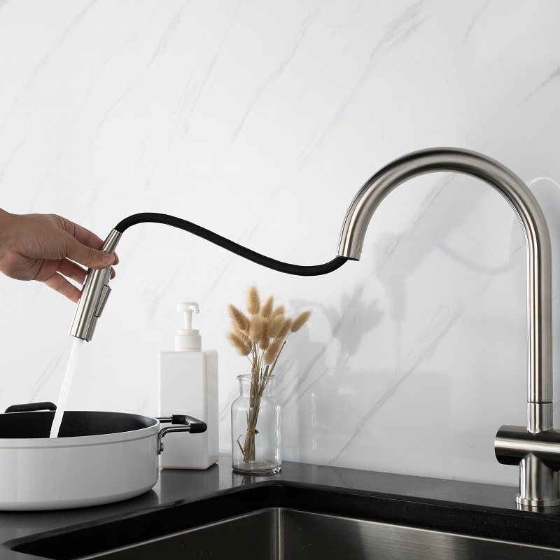 Vòi chậu bếp nóng lạnh dây rút RENE KLUGER KLF0008S (KLF0008B) - 4