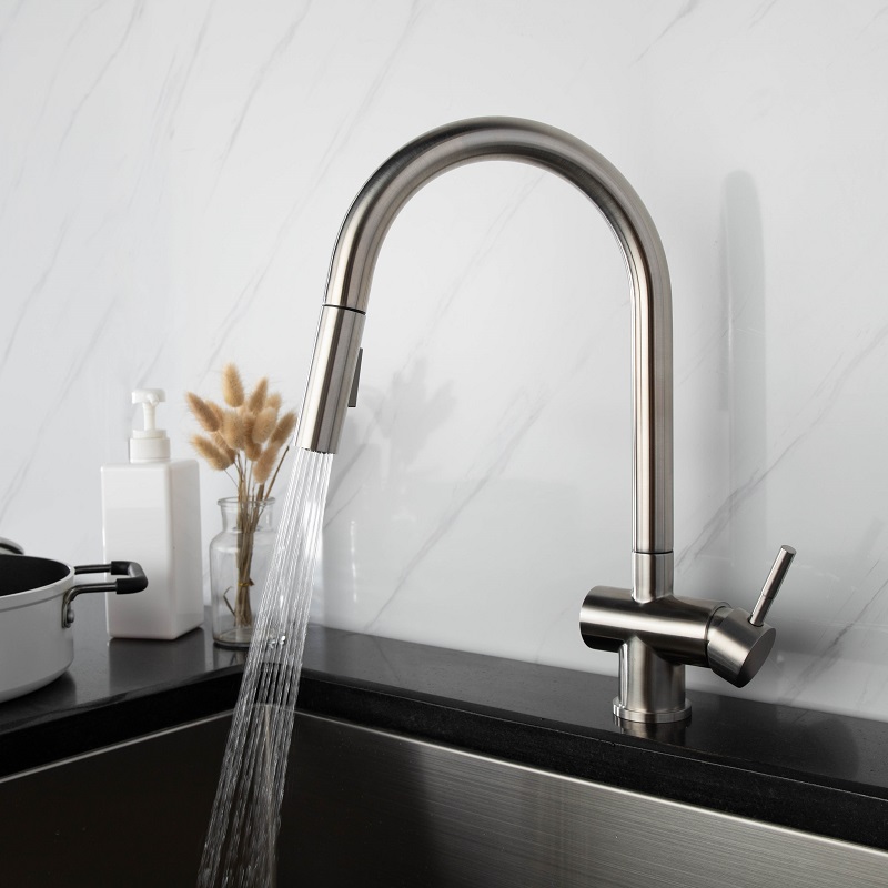 Vòi chậu bếp nóng lạnh dây rút RENE KLUGER KLF0008S (KLF0008B) - 5