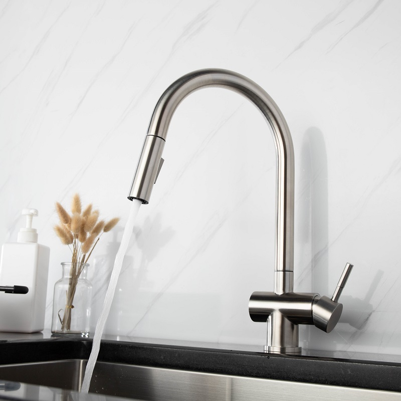 Vòi chậu bếp nóng lạnh dây rút RENE KLUGER KLF0008S (KLF0008B) - 6