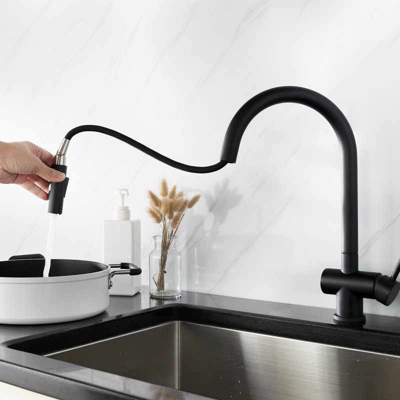 Vòi chậu bếp nóng lạnh dây rút RENE KLUGER KLF0008S (KLF0008B) - 7