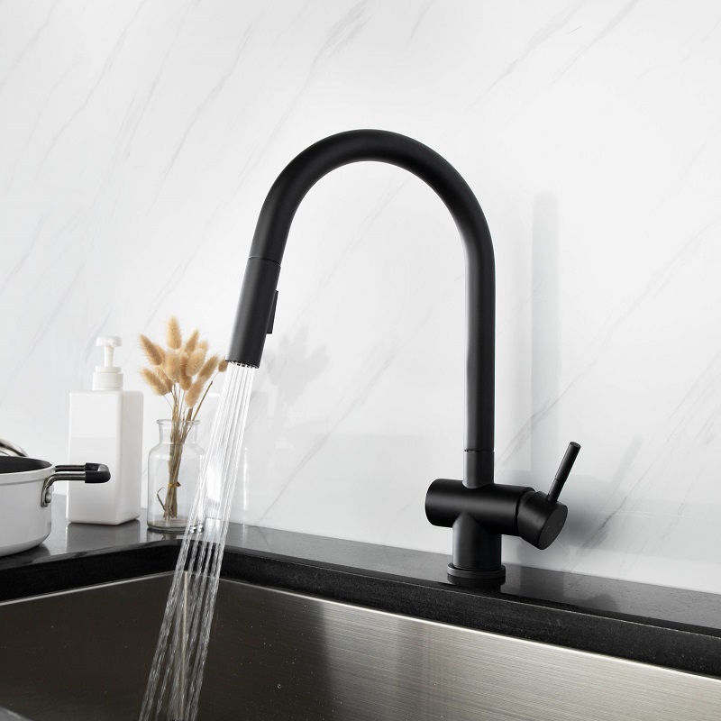 Vòi chậu bếp nóng lạnh dây rút RENE KLUGER KLF0008S (KLF0008B) - 8