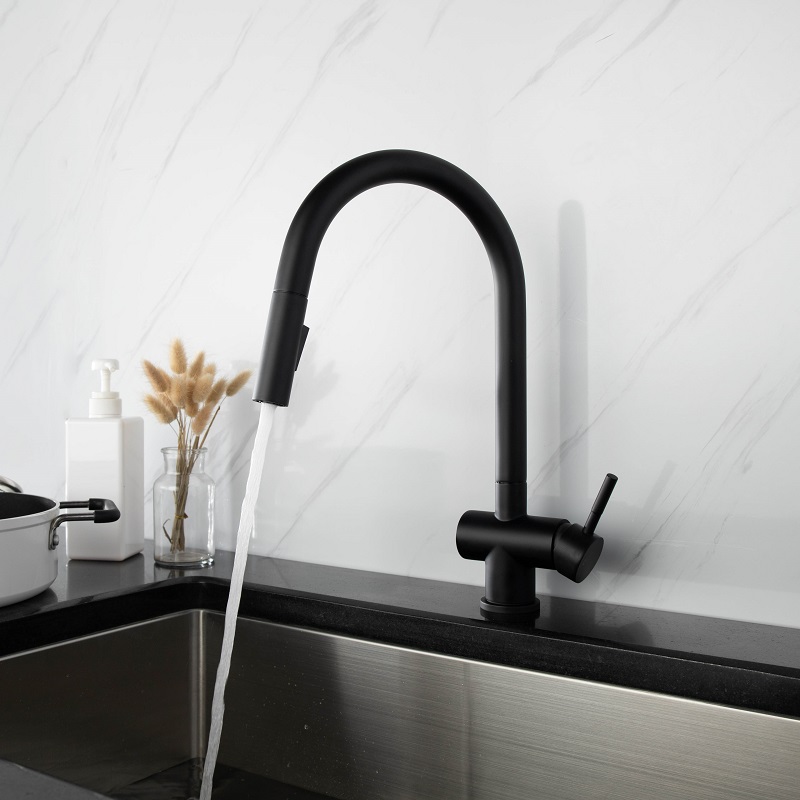 Vòi chậu bếp nóng lạnh dây rút RENE KLUGER KLF0008S (KLF0008B) - 9