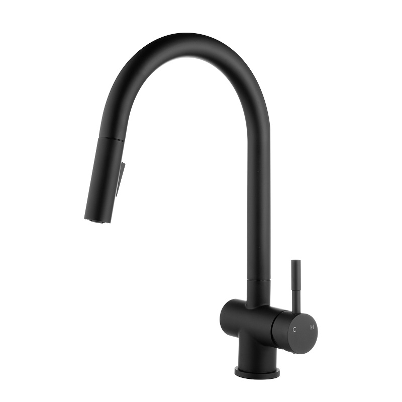 Vòi chậu bếp nóng lạnh dây rút RENE KLUGER KLF0008S (KLF0008B) - 10