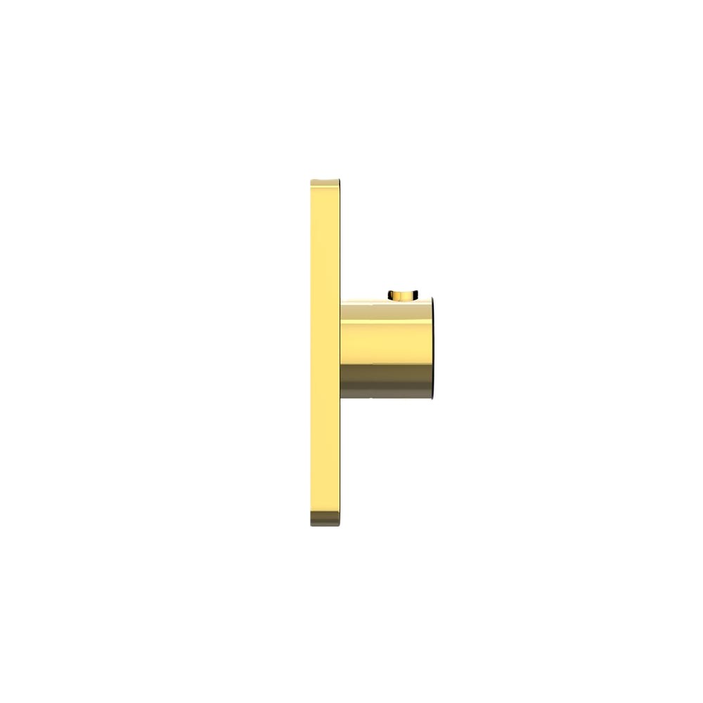 Bộ trộn nhiệt độ âm tường American Standard FFAS0930 - 13