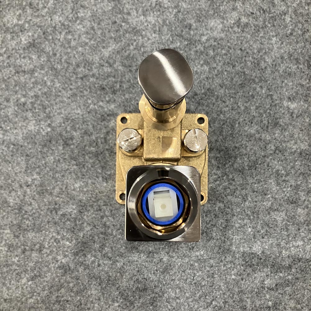 Vòi sen âm tường American Standard WF-1321 (WF1321) Acacia - 12