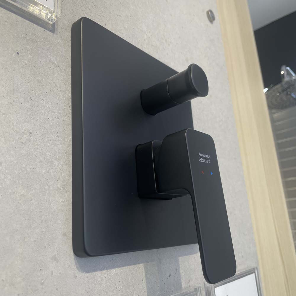 Vòi sen âm tường American Standard WF-1321 (WF1321) Acacia - 29