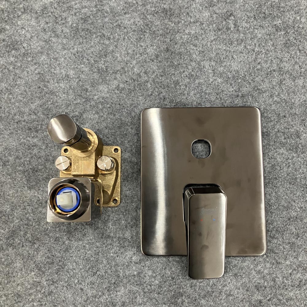 Vòi sen âm tường American Standard WF-1321 (WF1321) Acacia - 8