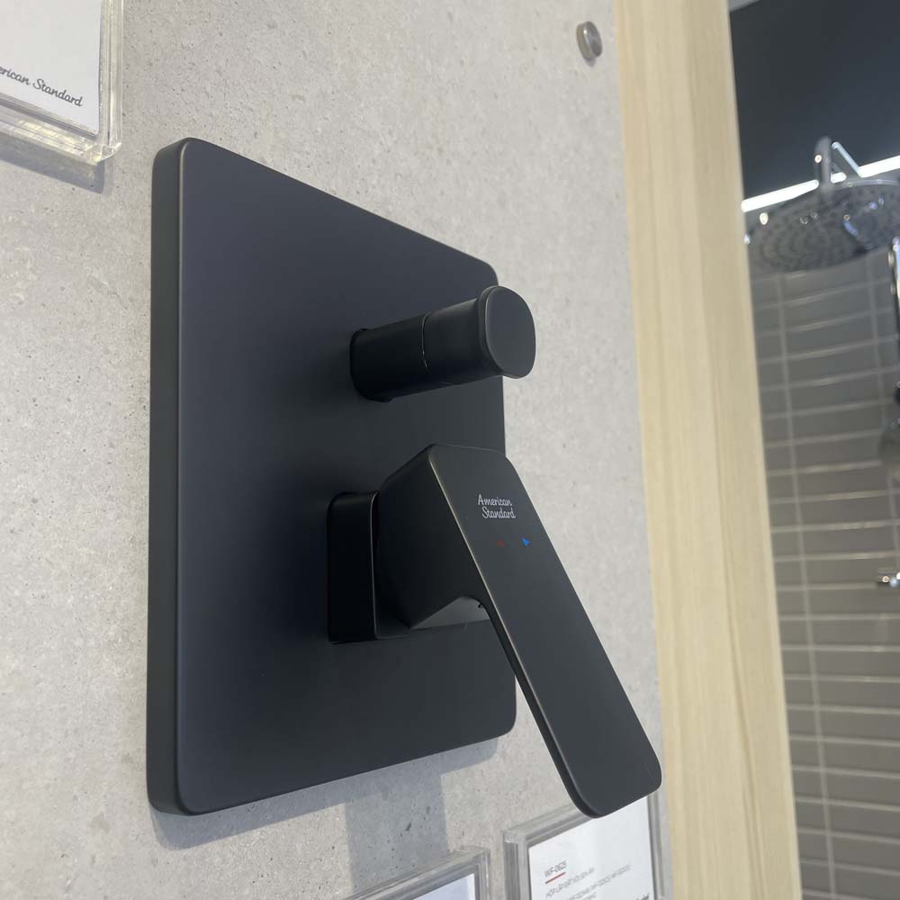 Vòi sen âm tường American Standard WF-1321 (WF1321) Acacia - 30