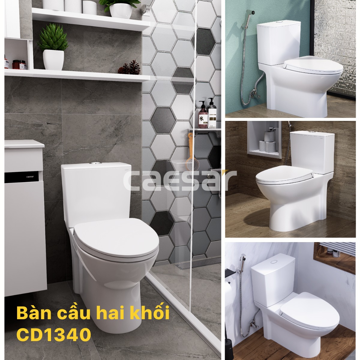 Bồn cầu 2 khối Caesar CD1340 nắp đóng êm - 10