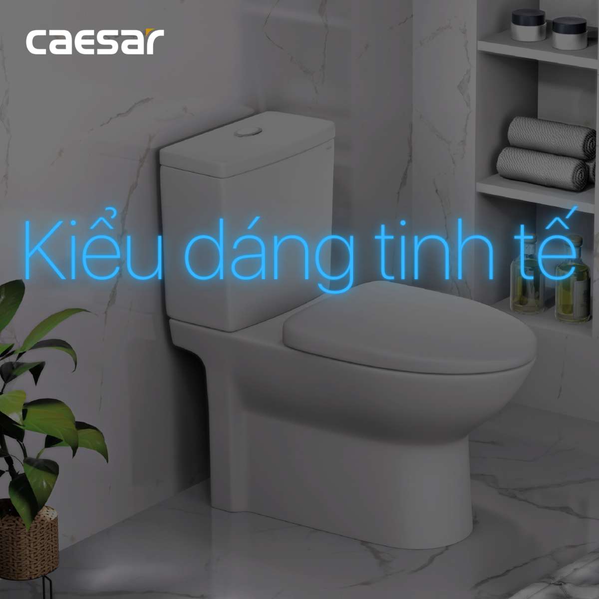 Nắp bồn cầu đóng êm Caesar M232 - 17