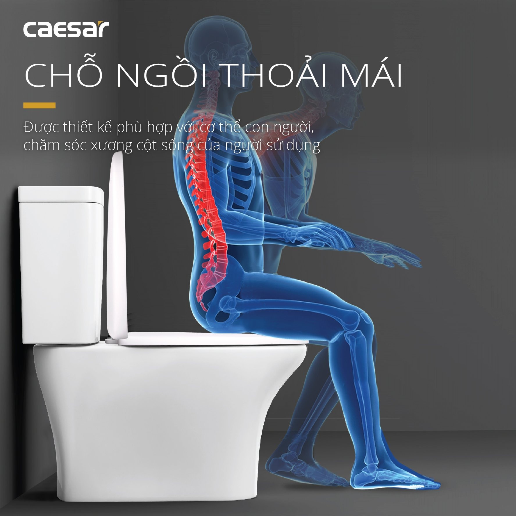 Bồn cầu 2 khối Caesar CD1341 nắp đóng êm - 9