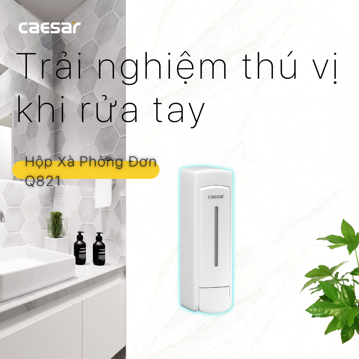 Hộp xà phòng đơn Caesar Q821 - 11