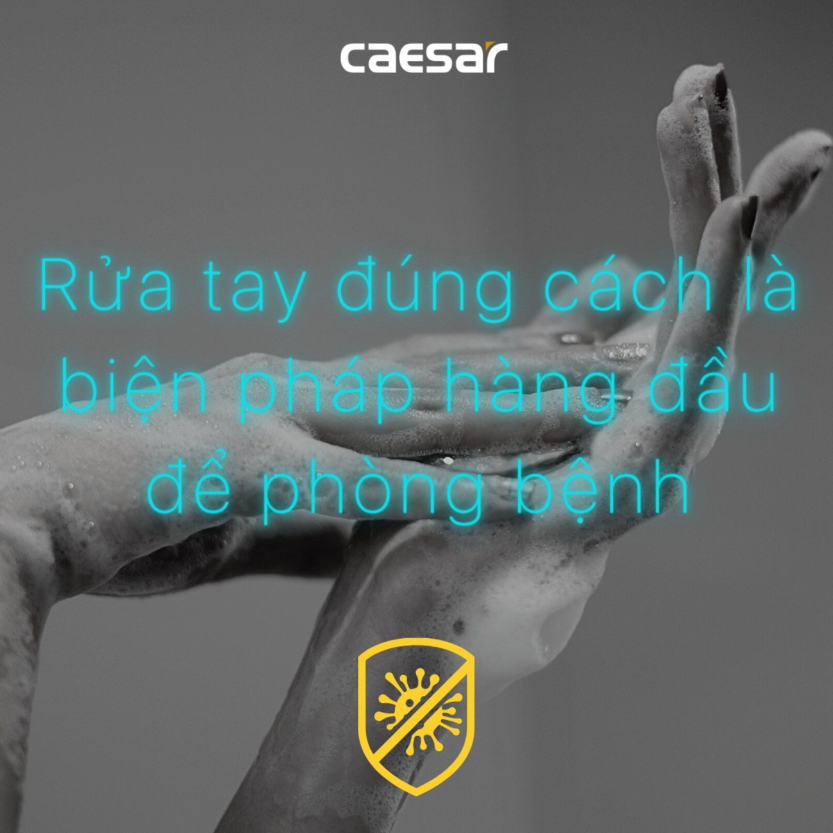 Hộp xà phòng đơn Caesar Q811 - 12