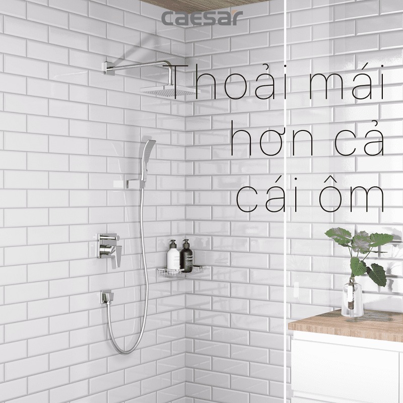 Sen tắm âm tường nóng lạnh Caesar BS641 - 7