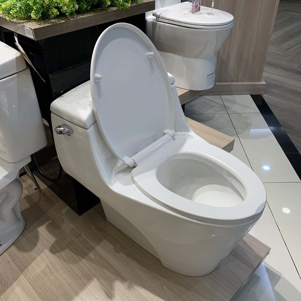 Bồn cầu 1 khối Caesar C1353 nắp êm - 6