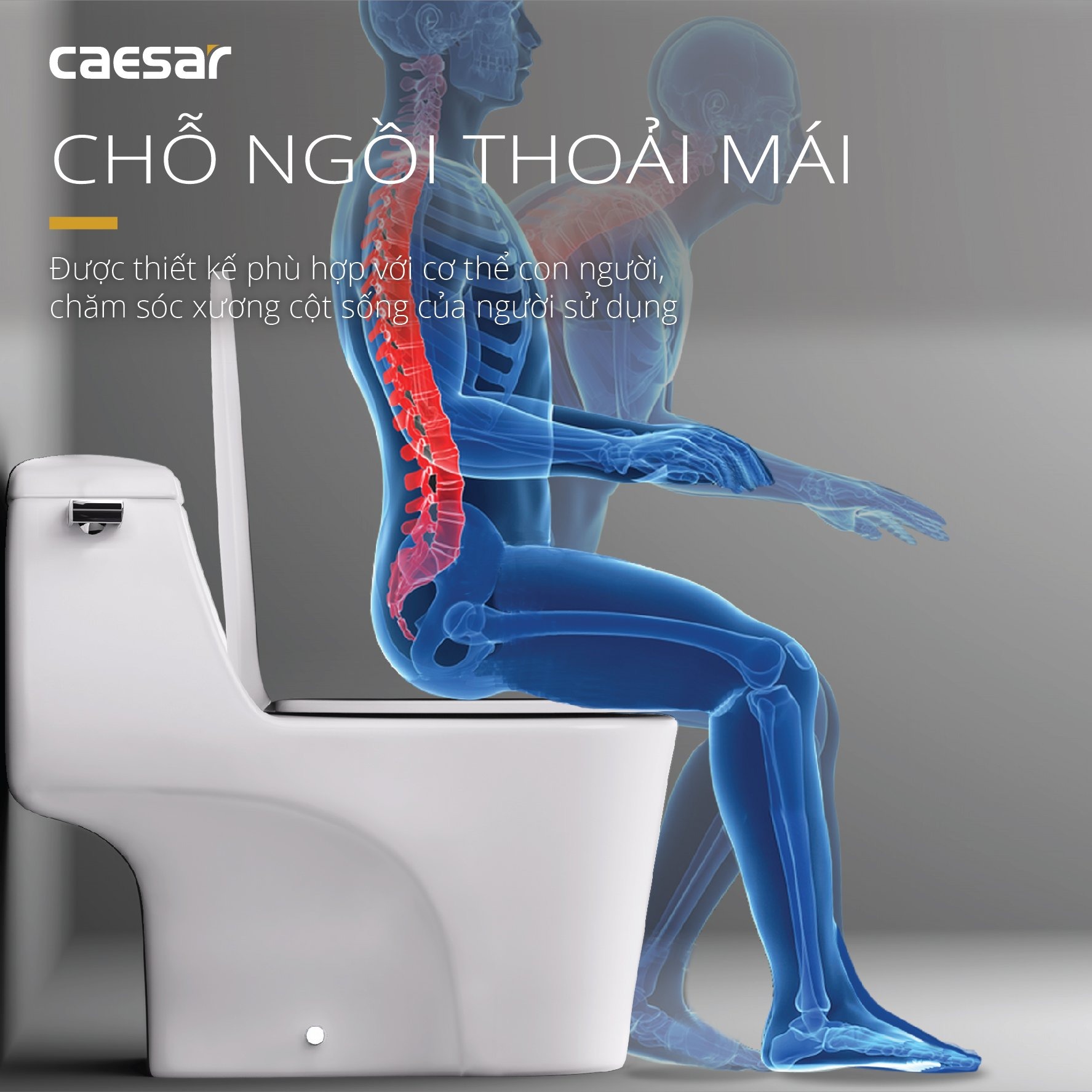 Bồn cầu 1 khối Caesar C1353 nắp êm - 18
