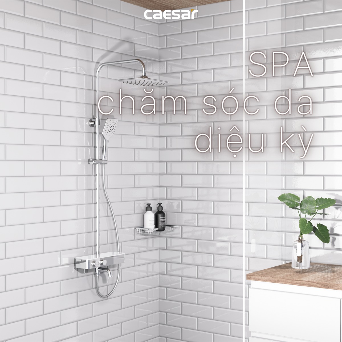 Bộ sen tắm cây nhiệt độ Caesar S788C - 19
