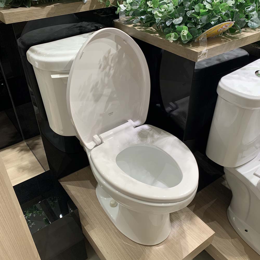 Bồn cầu 2 khối Caesar CPT1332 nắp thường - 4