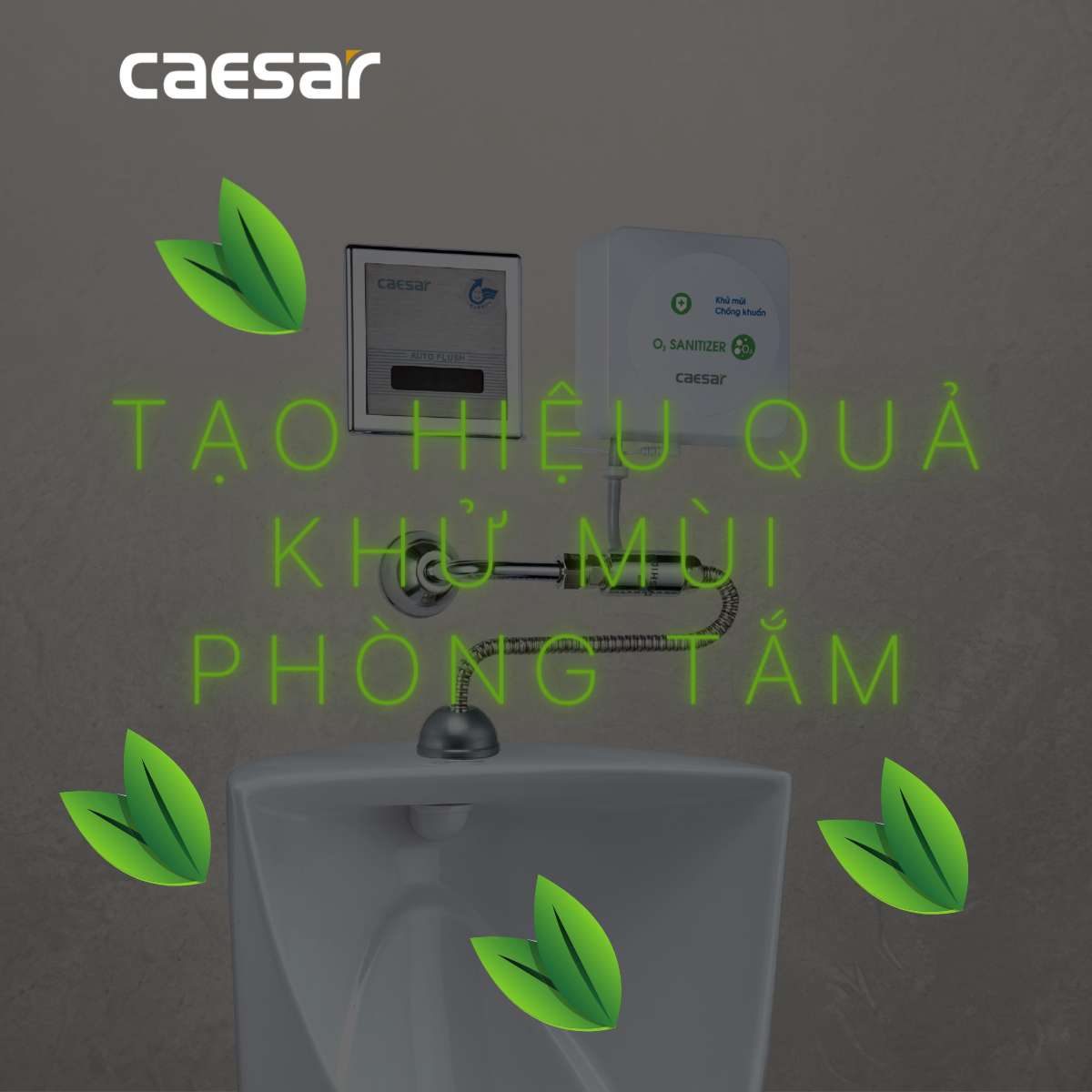 Máy tạo ozon Caesar A610OZ - 6