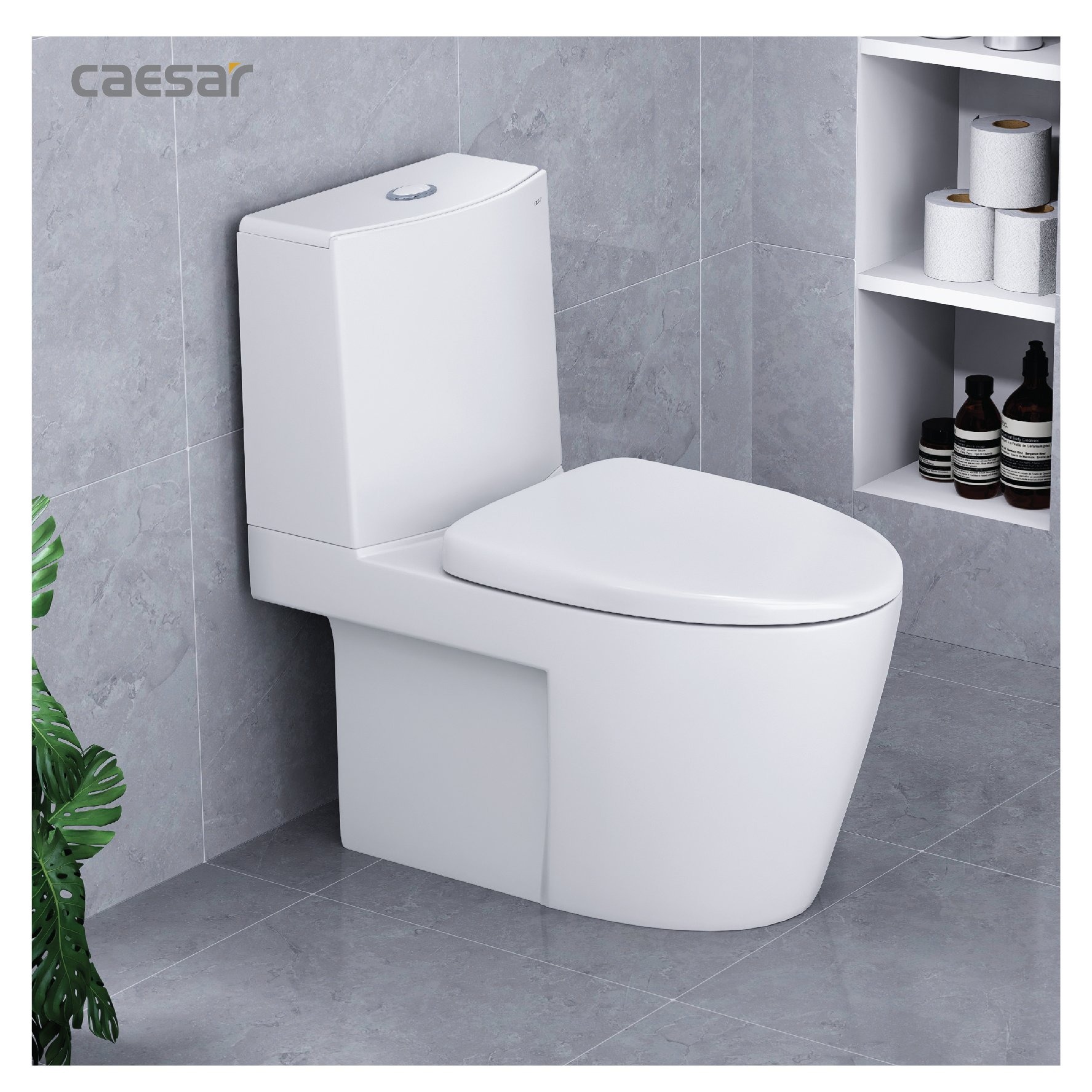 Bồn cầu 2 khối Caesar CD1345 nắp êm - 11