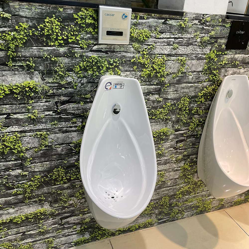 Bồn tiểu nam treo tường Caesar U0267 - 3