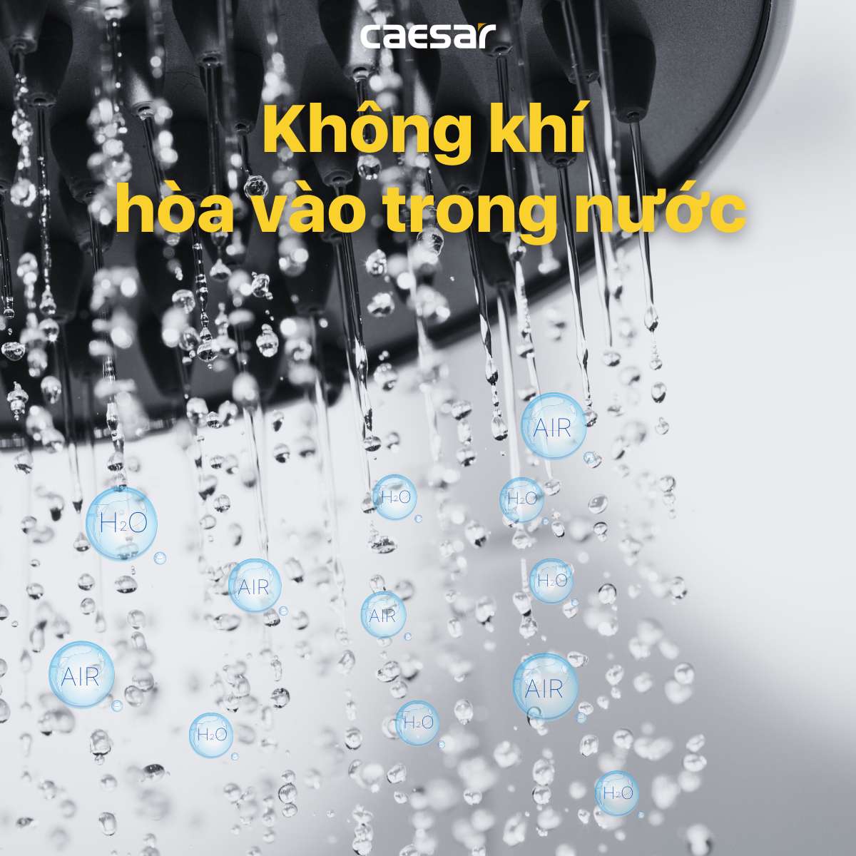 Sen thuyền nóng lạnh Caesar SP132 - 5