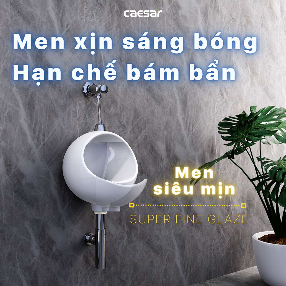Bồn tiểu nam treo tường Caesar U0210 - 15