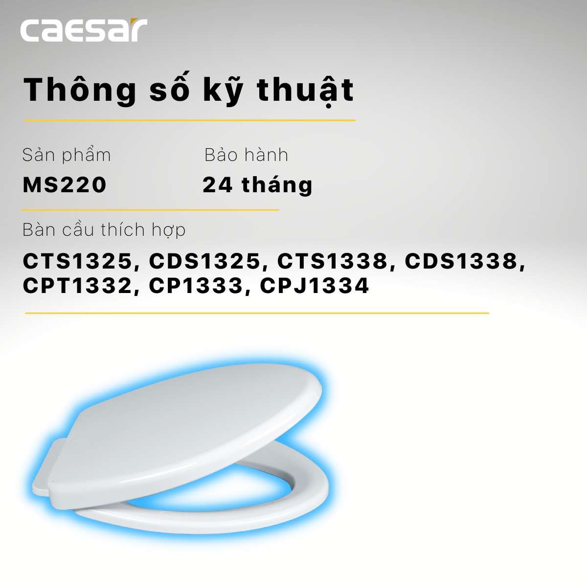 Nắp bồn cầu đóng êm Caesar MS220 - 10