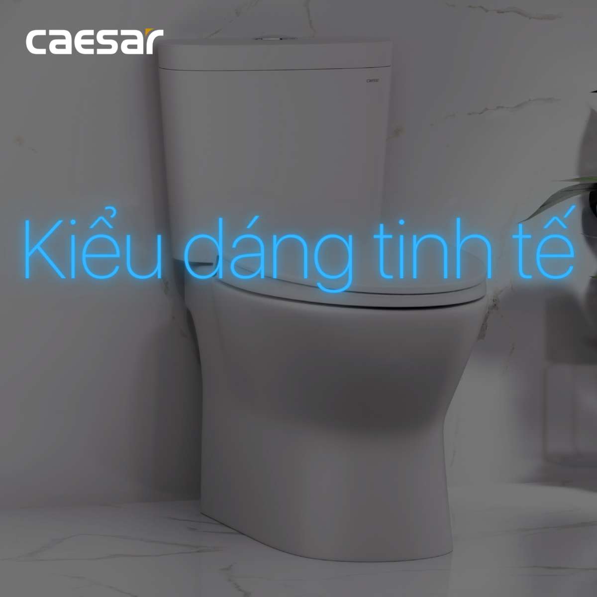 Nắp bồn cầu đóng êm Caesar M221 - 11