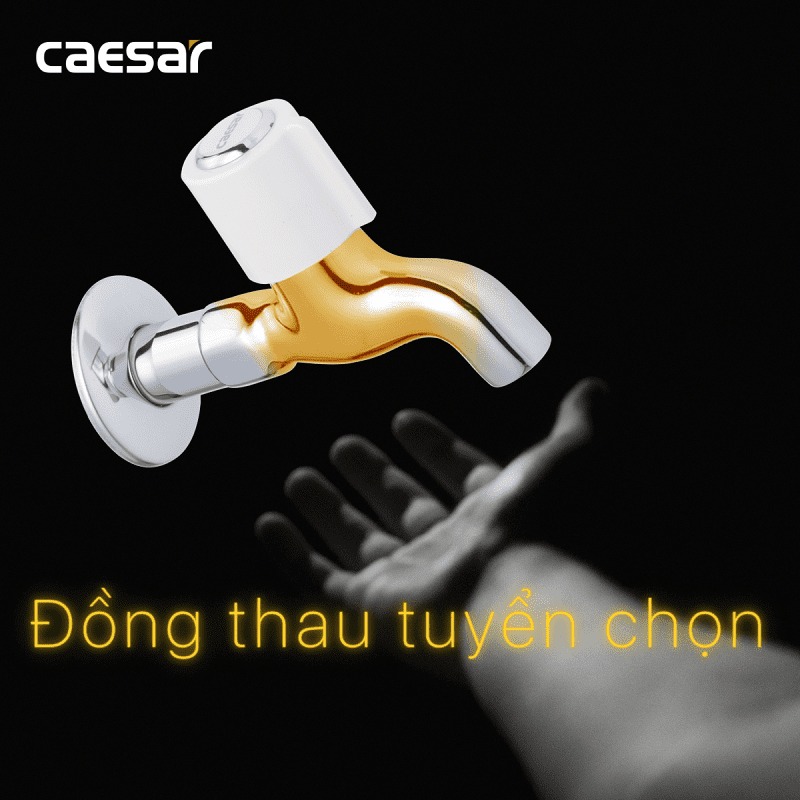 Vòi nước lạnh gắn tường Caesar W037C - 8