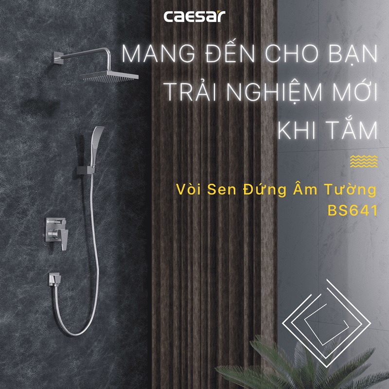Sen tắm âm tường nóng lạnh Caesar BS641 - 3