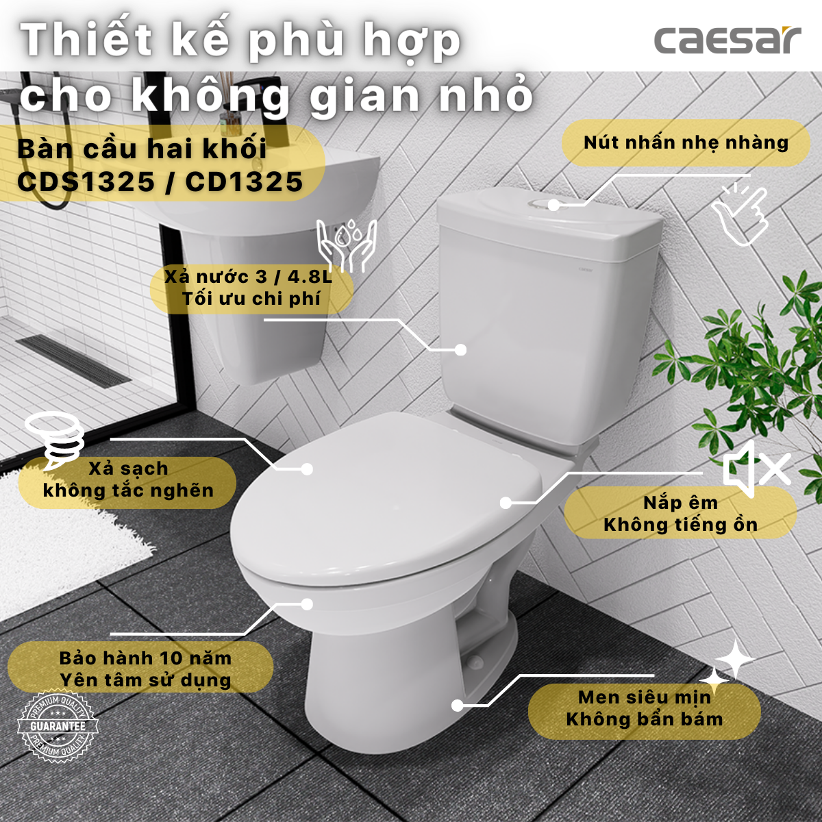 Bồn cầu 2 khối Caesar CD1325 nắp thường - 3