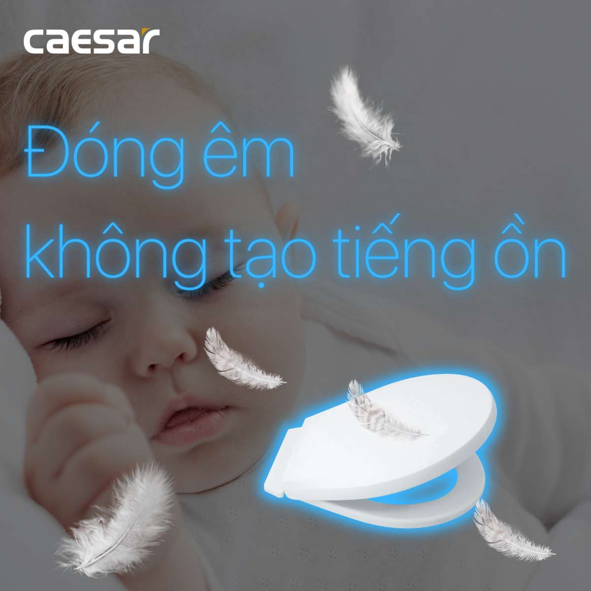 Nắp bồn cầu thường Caesar M284 - 12