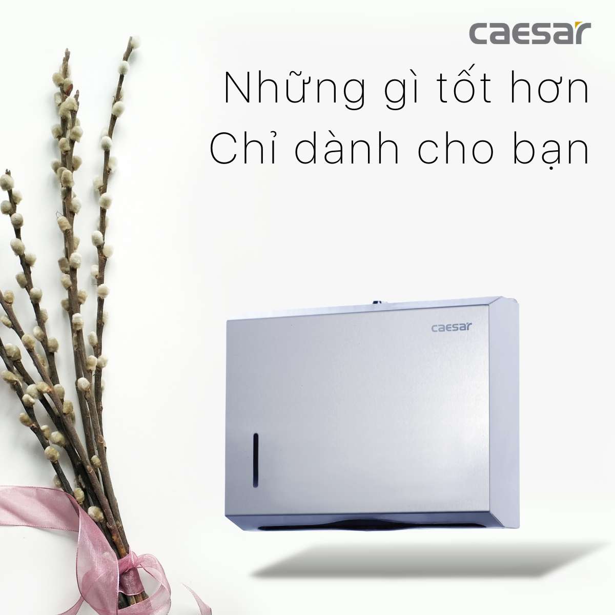 Hộp giấy vệ sinh inox Caesar ST127 - 11
