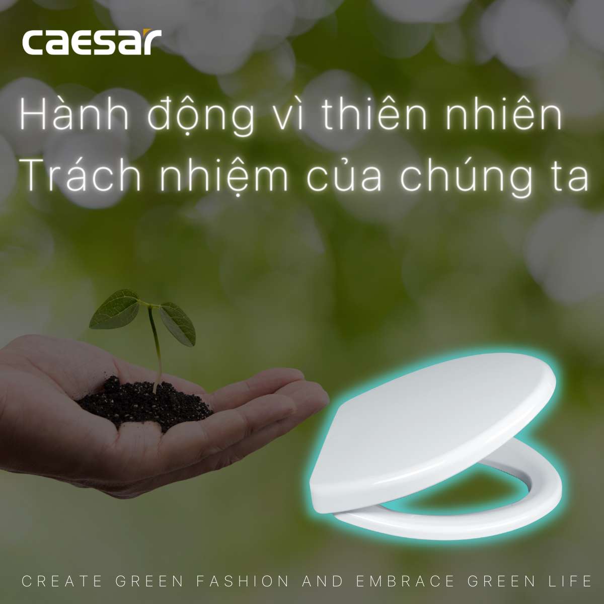 Nắp bồn cầu thường Caesar M220 - 5
