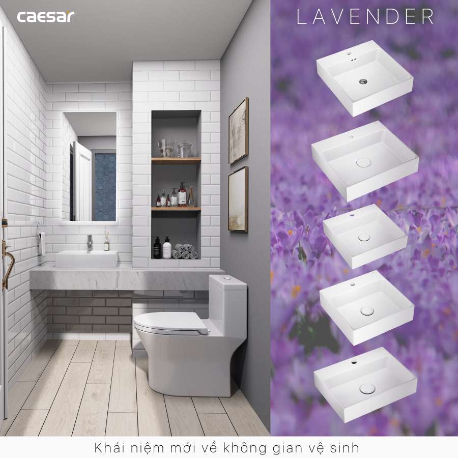 Chậu lavabo đặt bàn Caesar LF5259 - 14