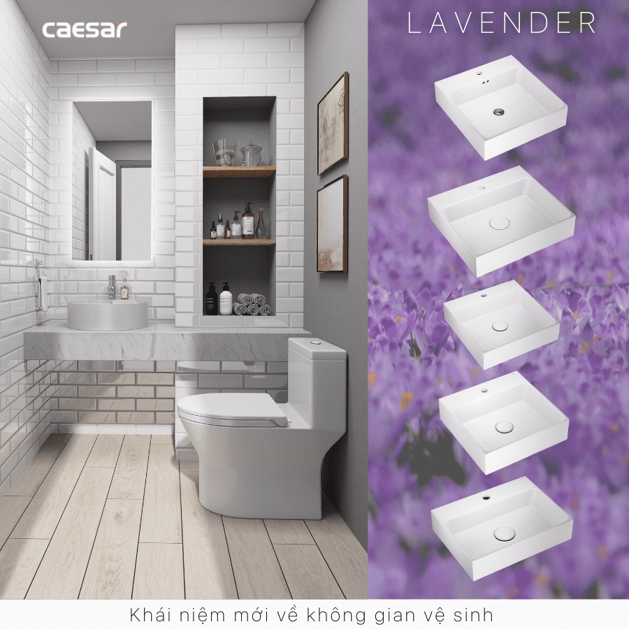 Chậu lavabo đặt bàn Caesar LF5240 - 19