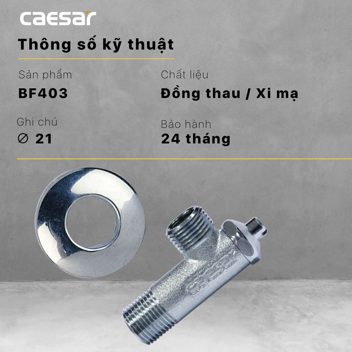 Van vặn khóa chữ F xi - φ21 Caesar BF403 - 8