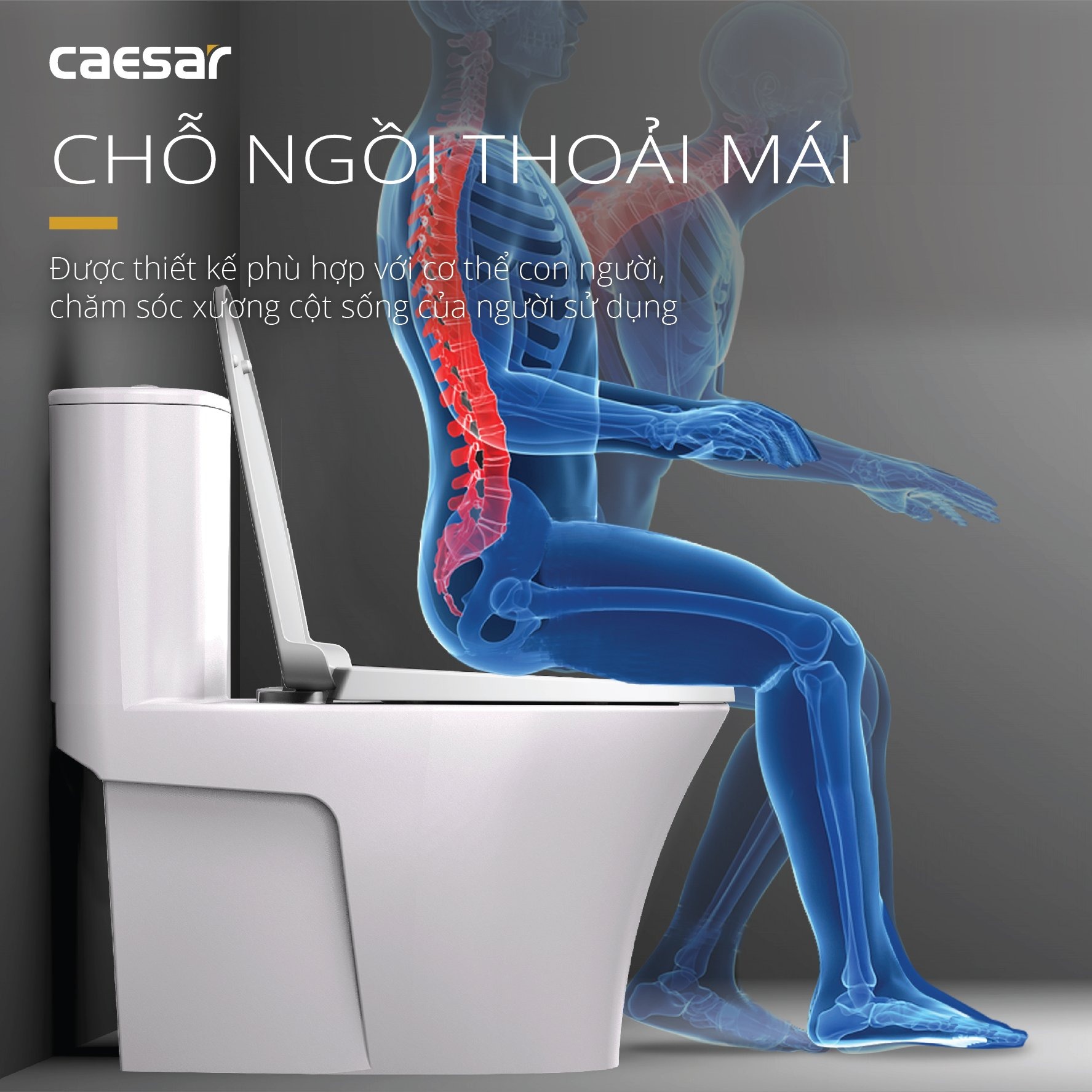 Bồn cầu 1 khối Caesar C1395 (CD1395) nắp đóng êm - 11