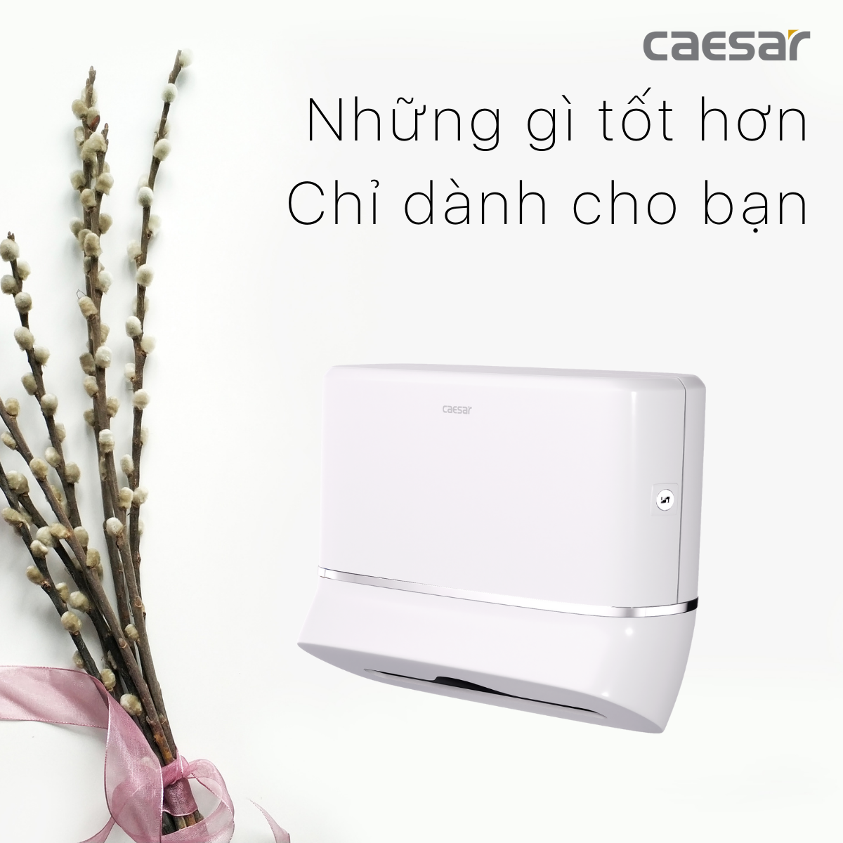 Hộp giấy vệ sinh Caesar H101 - 12