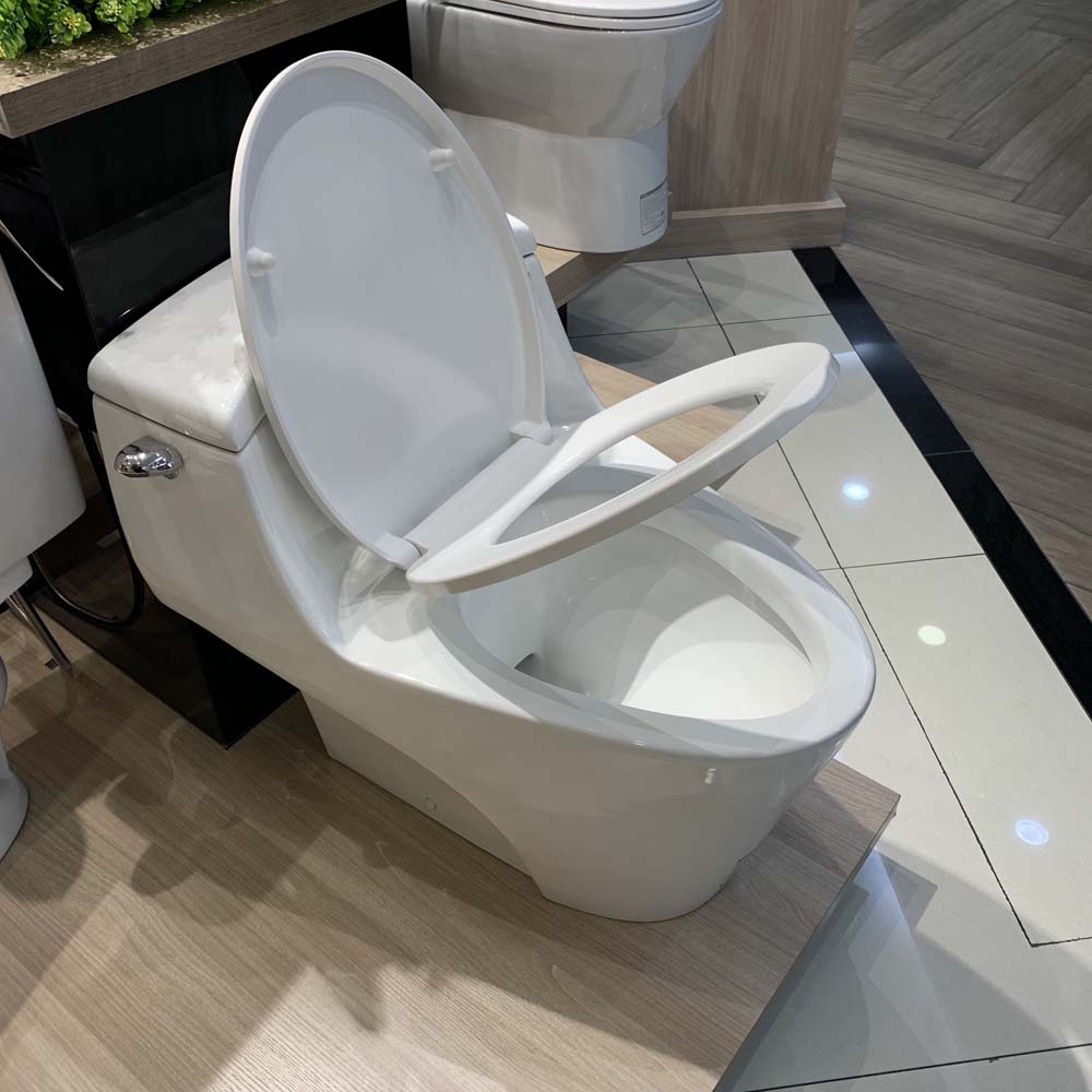 Bồn cầu 1 khối Caesar C1353 nắp êm - 3