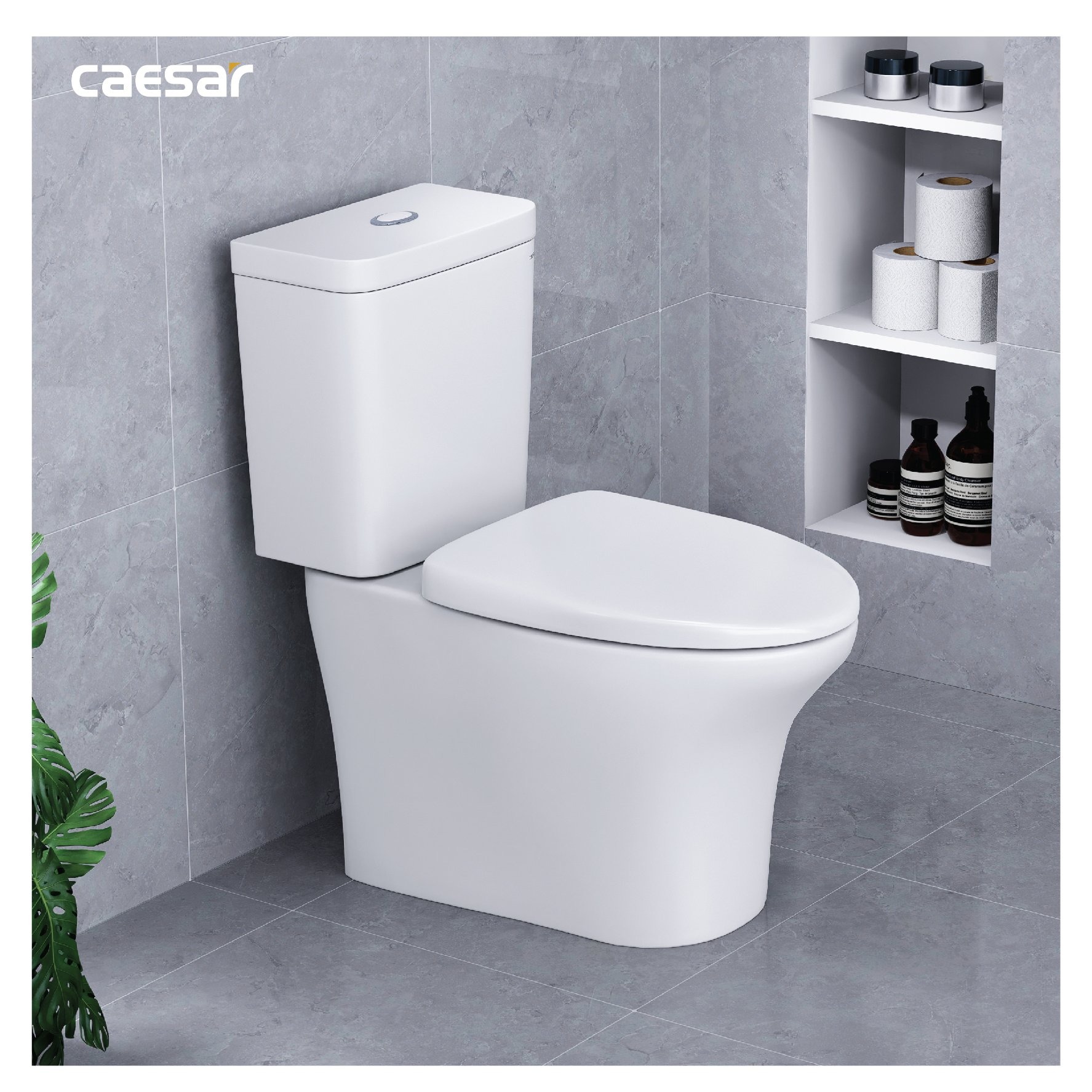 Bồn cầu 2 khối Caesar CD1341 nắp đóng êm - 11