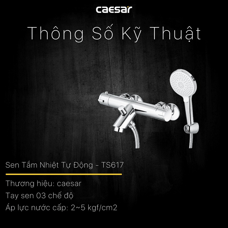 Bộ vòi sen tắm nhiệt độ Caesar TS617 - 17