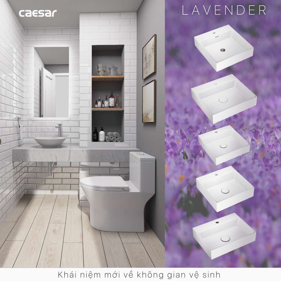Chậu lavabo đặt bàn Caesar L5221 - 17