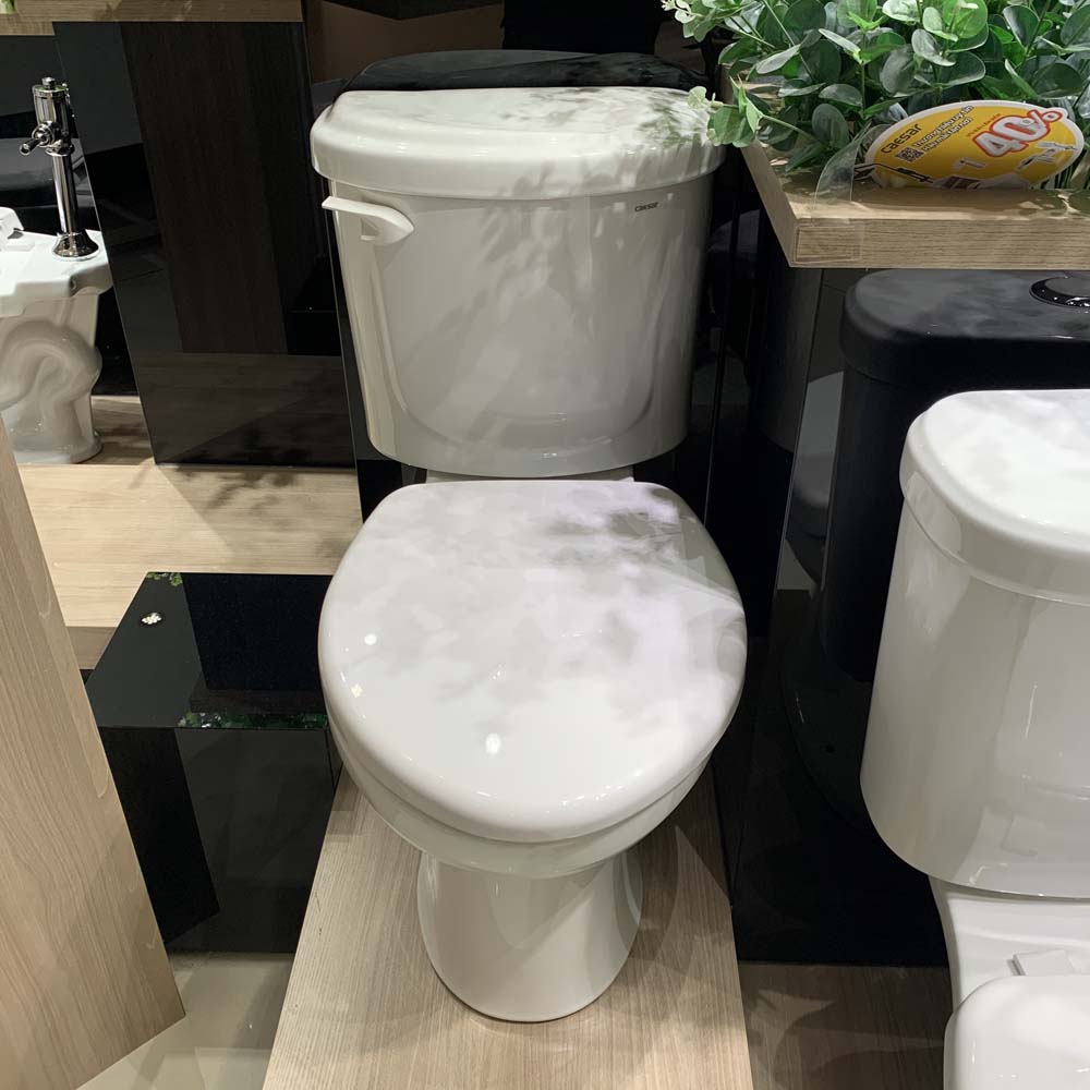 Bồn cầu 2 khối Caesar CPT1332 nắp thường - 3