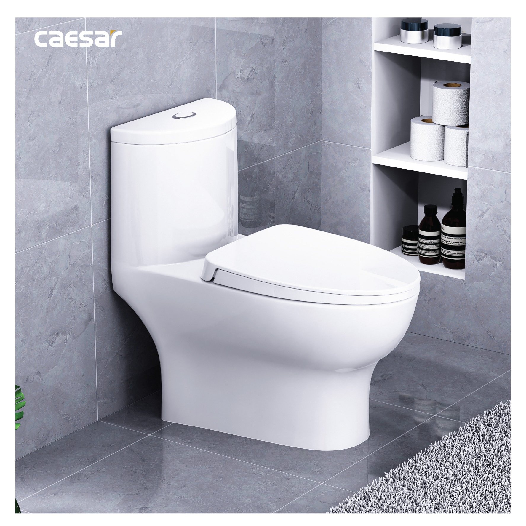 Bồn cầu 1 khối Caesar C1375 (CD1375) nắp đóng êm - 17