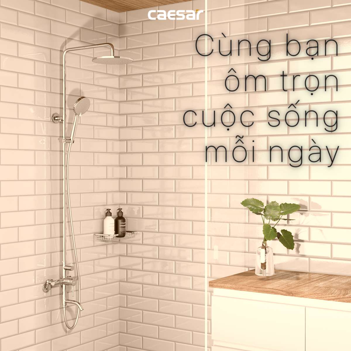 Bộ sen tắm cây nóng lạnh Caesar S1028S - 9
